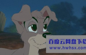 《小姐与流浪汉2：狗儿逃家记》4K|1080P高清百度网盘