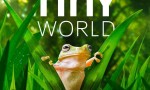 [小小世界 Tiny World 第二季][全06集]4K|1080P高清百度网盘