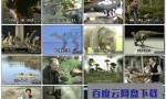 [与恐龙同行 Walking with Dinosaurs 1999][全3集]4k|1080p高清百度网盘