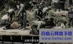 《全彩二战重大事件:闪电战》4K|1080P高清百度网盘