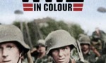 [二战重大事件 Greatest Events of WWII in Colour][全10集][英语中字]4K|1080P高清百度网盘