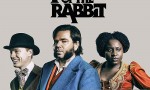 [怪探拉比特/拉比特探长 Year of the Rabbit 第一季][全06集]4k|1080p高清百度网盘