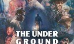 [地下铁道 The Underground Railroad][全10集][英语中字]4K|1080P高清百度网盘