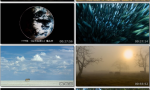 《大卫爱登堡：地球上的一段生命旅程》4K|1080P高清百度网盘