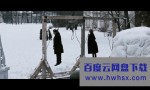 《列宁格勒 Ленинград》4k|1080p高清百度网盘