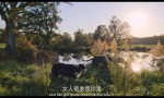 2023剧情《流浪狗》1080p.BD中字4K|1080P高清百度网盘