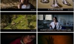 2024纪录片《尼安德特人绝密存亡史》1080p.BD中英双字4K|1080P高清百度网盘