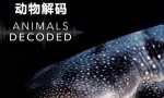 [动物解码][全3集] [中文字幕][1080P]4K|1080P高清百度网盘