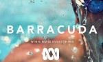[梭鱼 Barracuda 迷你剧][全4集]4k|1080p高清百度网盘