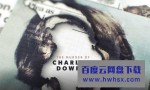 [夏琳唐斯之死 The Murder Of Charlene Downes 第一季][全集]4k|1080p高清百度网盘