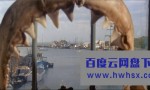 《大白鲨 Jaws》4k|1080p高清百度网盘