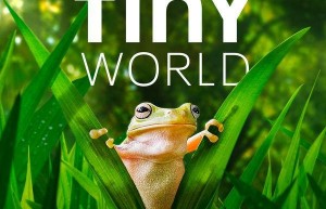 [小小世界 Tiny World 第二季][全06集]4K|1080P高清百度网盘