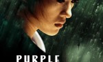《紫蝴蝶》4k|1080p高清百度网盘