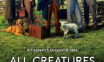 [万物既伟大又渺小 All Creatures Great and Small][全集]4K|1080P高清百度网盘
