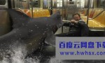 《鲨卷风2 Sharknado 2》4k|1080p高清百度网盘