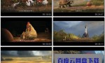 《妈妈咪鸭》4k|1080p高清百度网盘