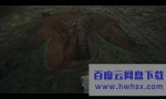 《发掘/考古夺宝/古宝》4K|1080P高清百度网盘