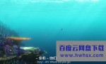 《海底总动员2：多莉去哪儿》4k|1080p高清百度网盘