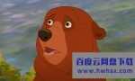 《熊的传说2》4k|1080p高清百度网盘
