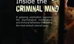 [犯罪心理学第一季 Inside the Criminal Mind][全4集]4k|1080p高清百度网盘