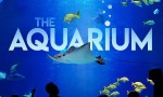 [水族馆/The Aquarium 第一季][全09集]4k|1080p高清百度网盘