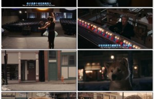 《忠犬八公的故》4k|1080p高清百度网盘