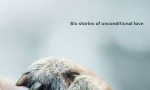[爱犬情深/挚狗伴我行 Dogs 第一季][全06集]4k|1080p高清百度网盘