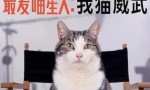 2021纪录片《最爱喵星人：我猫威武》HD1080P.中文字幕4K|1080P高清百度网盘