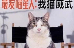 2021纪录片《最爱喵星人：我猫威武》HD1080P.中文字幕4K|1080P高清百度网盘