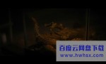 2021恐怖惊悚《恐惧街3》1080p.BD中英双字4K|1080P高清百度网盘