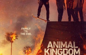 [动物王国/野兽家族/Animal Kingdom 第六季][全13集][英语中字]4K|1080P高清百度网盘