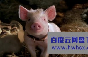 《小猪宝贝2：小猪进城》4k|1080p高清百度网盘