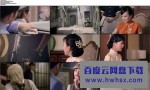 [淑女之家][全30集]4k|1080p高清百度网盘