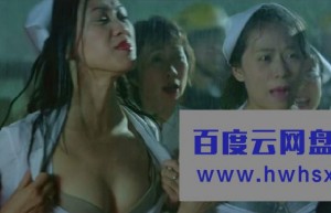 《辣手回春》4k|1080p高清百度网盘