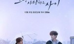 [只要相爱的关系][全16集][韩语中字]4k|1080p高清百度网盘
