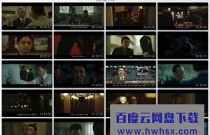 《特工/北风/北寒谍战》4k|1080p高清百度网盘