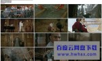 《黄飞鸿之一：壮志凌云》4k|1080p高清百度网盘