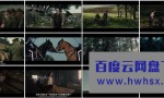 《战马》4k|1080p高清百度网盘