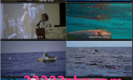 2021台湾高分纪录片《男人与他的海》HD1080P.国语中字4K|1080P高清百度网盘