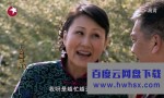 高清720P《儿女冤家》电视剧 全27集 国语中字4k|1080p高清百度网盘