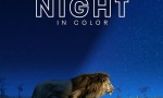 [夜色中的地球 Earth at Night in Color][全06集]4K|1080P高清百度网盘