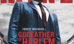 [哈林教父 The Godfather of Harlem 第一季][全10集]4k|1080p高清百度网盘