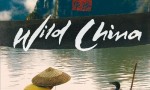 [美丽中国/神秘中国/锦绣中华/Wild China][全06集]4k|1080p高清百度网盘