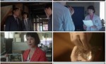 [科搜研之女 第19季][全34集][日语中字]4k|1080p高清百度网盘