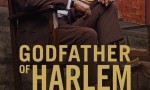 [哈林教父 The Godfather of Harlem 第二季][全集]4K|1080P高清百度网盘