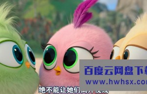 《愤怒的小鸟2/愤怒的小鸟大电影2》4k|1080p高清百度网盘