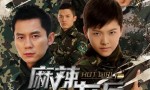 高清720P《麻辣女兵》电视剧 全30集 国语中字4k|1080p高清百度网盘