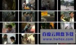 [香港/TVB/1990]午夜太阳 [20集全/每集约300MB][粤语] 4k|1080p高清百度网盘