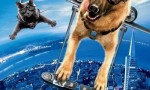 《猫狗大战2:珍珠猫复仇》4k|1080p高清百度网盘