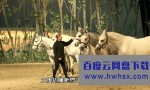 《梦幻舞马-卡瓦利亚》4k|1080p高清百度网盘